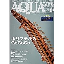 月刊アクアライフ 2025年11月号 僕たちの好きな水草 ☆特別付録☆水草